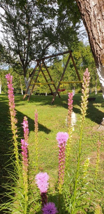Holiday Home, Apartman Obajdin Slunj Dış mekan fotoğraf